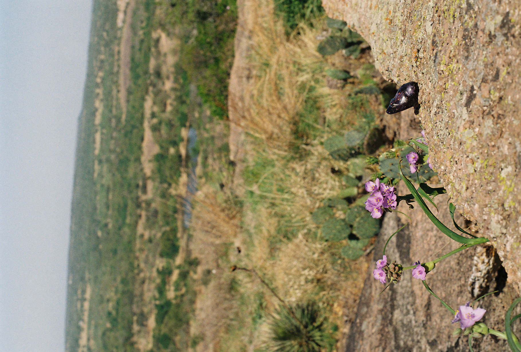 Enchanted Rock