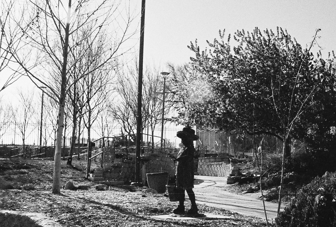 Sakura Girl cropped