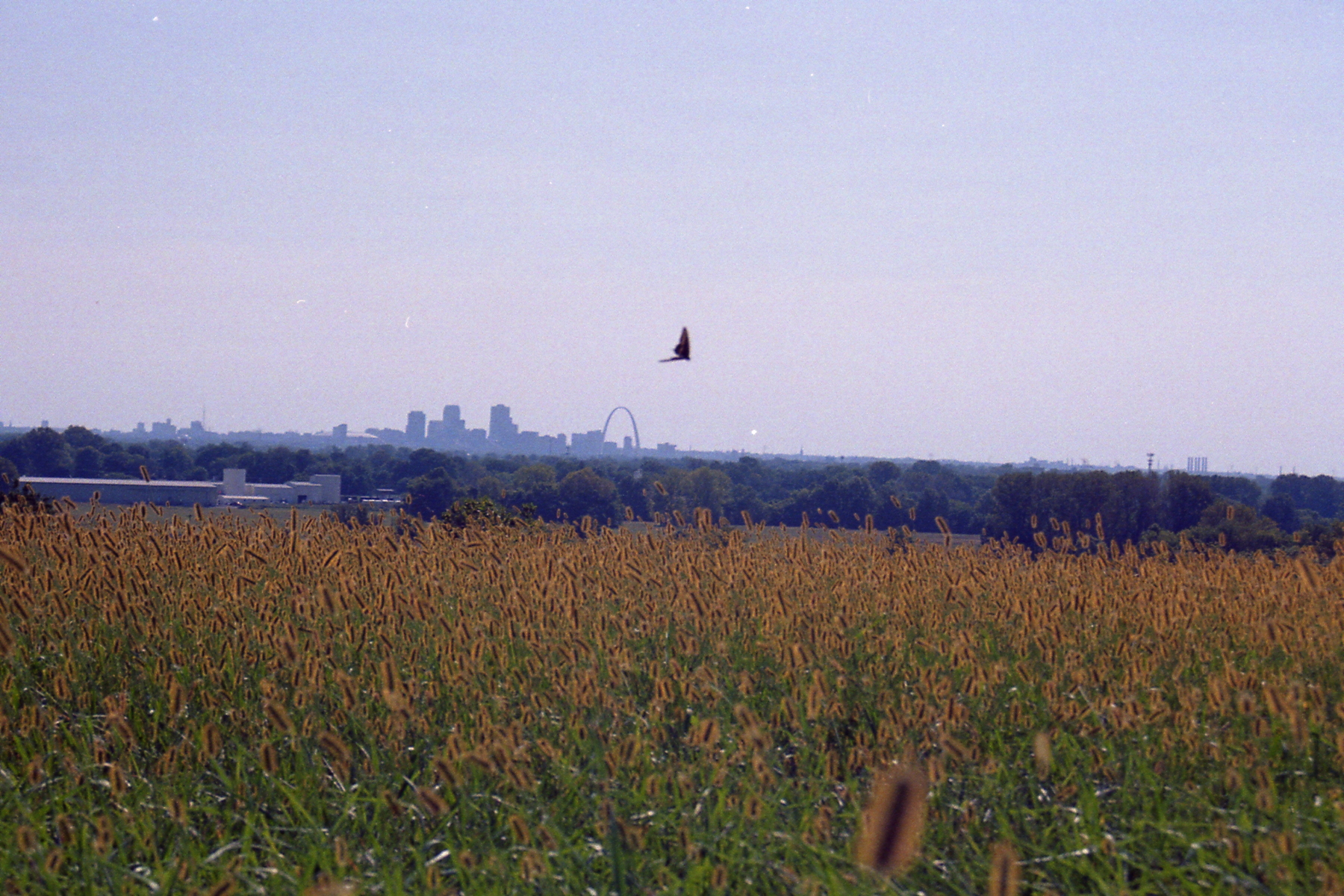Cahokia